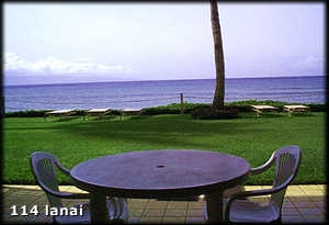 114_lanai.jpg (9451 bytes)