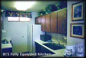 815kitchen.jpg (11249 bytes)